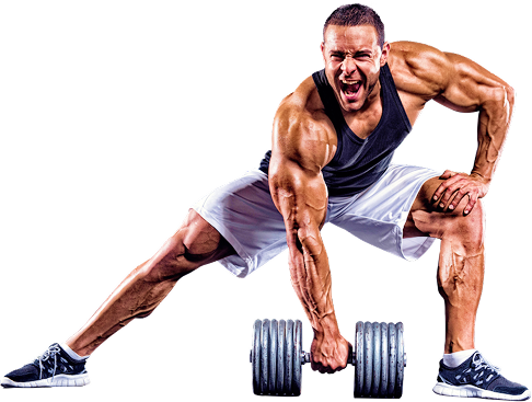 Muscle Building